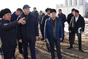 Фотография к новости: Түркістанда жүгері өңдеу зауытының дәнді кептіру және сақтау кешені іске қосылады