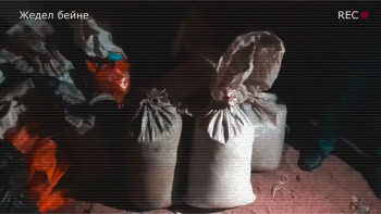 Фотография к новости: 600-ден астам метадон таблеткасы мен 300 грамм апиын тәркіленді