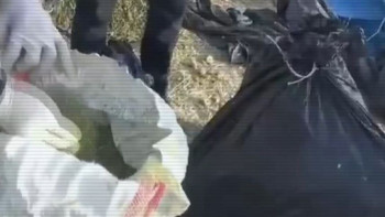 Фотография к новости: Жамбыл облысында шөп астынан 100 кг марихуана анықталды