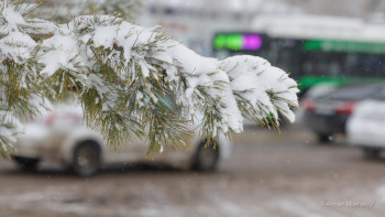 Фотография к новости: Жаңа жылда күн райы қандай болады?