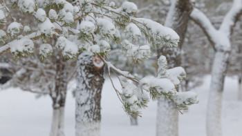 Фотография к новости: Қар, бұрқасын, көктайғақ: Бірнеше өңірде дауылды ескерту жарияланды