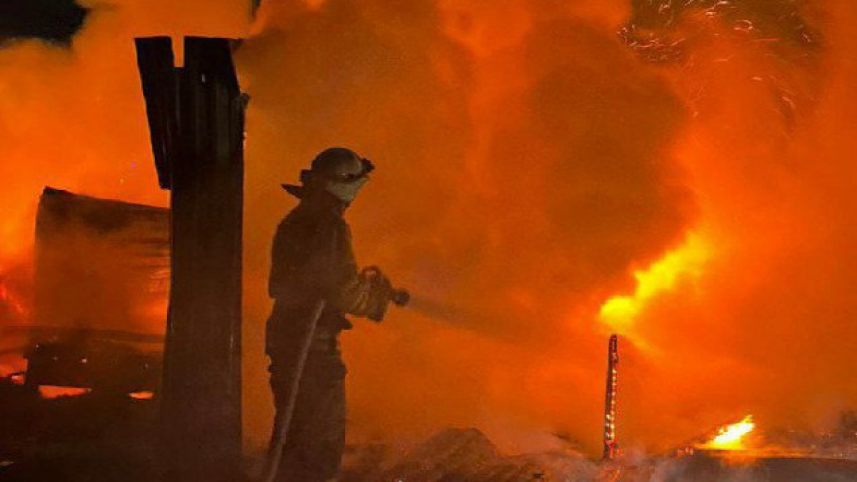  видеодан кадр