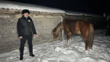 Фотография к новости: ШҚО-да 5 млн теңгенің малын қолды қылған күдікті ұсталды
