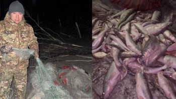 Фотография к новости: Жетісу облысында 100 келіден астам балық аулаған браконьер ұсталды