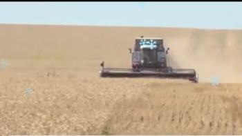 Фотография к новости: Күнбағыс майының алғашқы партиясы өңірлерге жөнелтіледі