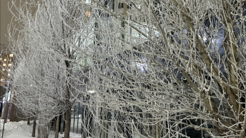 Фотография к новости: 7 қаңтарда елімізде ауа райы қандай болады