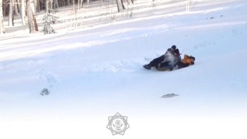 Фотография к новости: ТЖМ маңызды мәлімдеме жасады