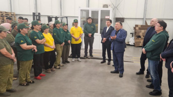 Фотография к новости: Мәжіліс депутаттары Алматы облысындағы жылыжайды аралады