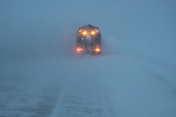 Фотография к новости: Төрт облыста көлік қозғалысы қайта жандануда