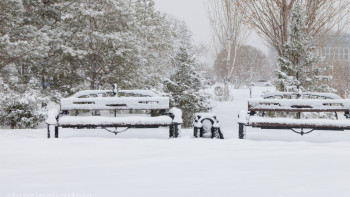 Фотография к новости: АҚШ-тың 7 штатында қатты бұрқасын соқты