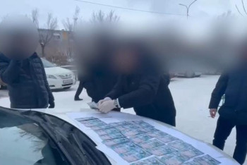 Ұлытауда облыстық Экология департаментінің басшысы қамауға алынды