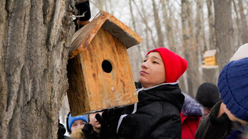 Фотография к новости: Абай облысында балалардың қысқы демалысы ұйымдастырылды