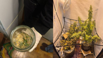 Фотография к новости: Рудныйда есірткі зертханасы жойылды