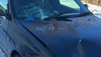 Фотография к новости: Жетісуда адам қағып, мерт қылған жүргізуші қолға түсті