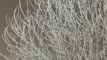 Фотография к новости: Еліміздің 10 өңірінде ауа райына байланысты ескерту жарияланды