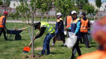 Фотография к новости: "Таза Қазақстан": Түркістан облысында 1 млн ағаш отырғызылды