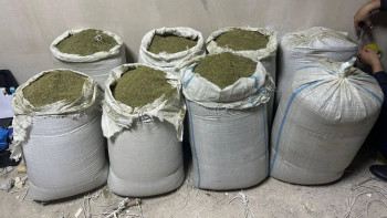 Фотография к новости: ІІМ: Ақтау және Алматы қалаларында есірткіні сату арналары жойылды