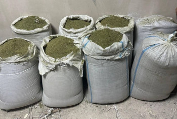 Фотография к новости: ІІМ: Ақтау және Алматы қалаларында есірткіні сату арналары жойылды