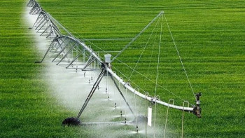 Фотография к новости: Елімізде 7000 шақырым канал салынады