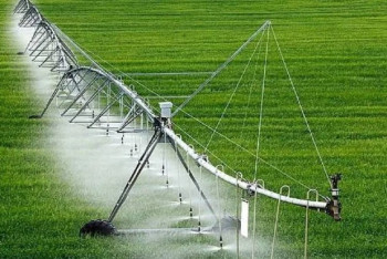 Елімізде 7000 шақырым канал салынады