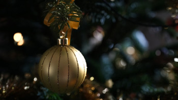 Фотография к новости: Шырша безендіремін деп құлаған мұғалім ісі: Еңбек инспекциясы тексерісті аяқтады