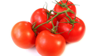 Фотография к новости: Қазақстандық қызанақ өндірушілер өнімдерін Ресейге экспорттай алады