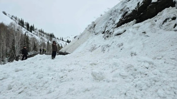 Фотография к новости: Шығыс Қазақстанда қар көшкініне байланысты жол жабылды