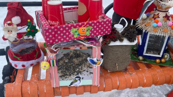 Фотография к новости: СҚО-да "Құстарға арналған эко-қоректендіргіштер" экологиялық байқауы өтті