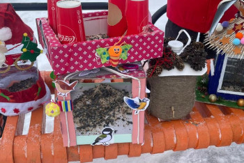 Фотография к новости: СҚО-да "Құстарға арналған эко-қоректендіргіштер" экологиялық байқауы өтті