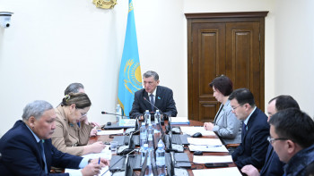 Фотография к новости: Сенаторлар мәдениет, білім беру және тәлімгерлікті дамыту туралы заңды қарады