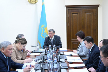 Фотография к новости: Сенаторлар мәдениет, білім беру және тәлімгерлікті дамыту туралы заңды қарады