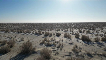 Фотография к новости: Арал теңізінің құрғаған ұлтанында орман отырғызу жұмыстары жалғасуда