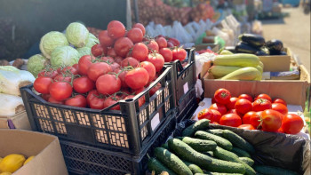 Фотография к новости: Елордада демалыс күндері ауыл шаруашылығы жәрмеңкесі өтеді