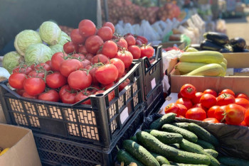 Фотография к новости: Елордада демалыс күндері ауыл шаруашылығы жәрмеңкесі өтеді