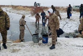 Фотография к новости: Атырау облысында 8,5 млн шабақ құтқарылды