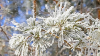 Фотография к новости: Мектеп оқушылары мен студенттер қашықтан оқиды