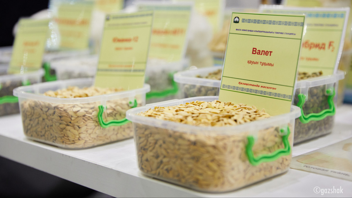  Ғазиз ШАКИРОВ  - архив