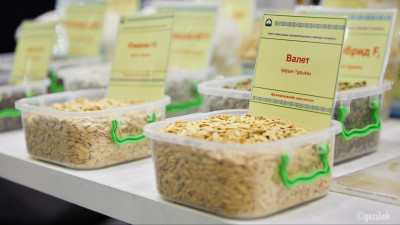 Отандық тауар өндірушілерді қолдау жүйесі жаңартылады