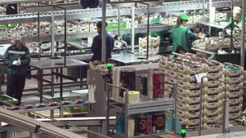 Фотография к новости: Қазақстан мен Ресей селекция және генетика жобаларын бірлесе зерттейді