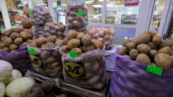 Фотография к новости: Министрлік картоп бағасы қашан тұрақталатынын айтты