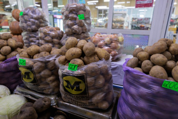 Фотография к новости: Министрлік картоп бағасы қашан тұрақталатынын айтты