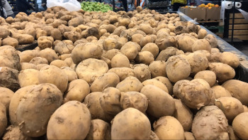 Фотография к новости: Картоп бағасына қатысты 49 заң бұзушылық анықталды