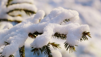 Фотография к новости: Ертең мектеп оқушылары мен студенттер қашықтан оқиды