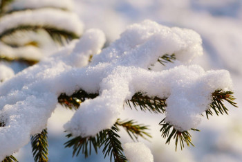 Фотография к новости: Ертең мектеп оқушылары мен студенттер қашықтан оқиды