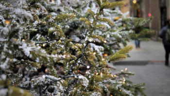 Фотография к новости: Шырша безендіргенде құлаған мұғалім ісі: Прокуратура күдіктіні анықтады