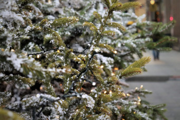 Фотография к новости: Шырша безендіргенде құлаған мұғалім ісі: Прокуратура күдіктіні анықтады