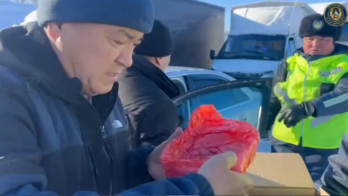  Видеодан кадр