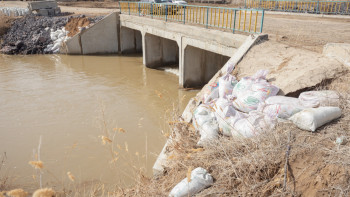 Фотография к новости: 16 облыста жалпы ұзындығы 584 шақырым болатын 400-ге жуық бөгет жөнделді