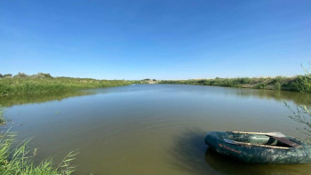 Фотография к новости: Түркістан: Ордабасыда балық өсіру шаруашылығы өркендеп келеді