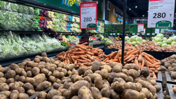 Фотография к новости: Картоп төңірегінде проблема жоқ: Астанада бір келісі 280 теңге